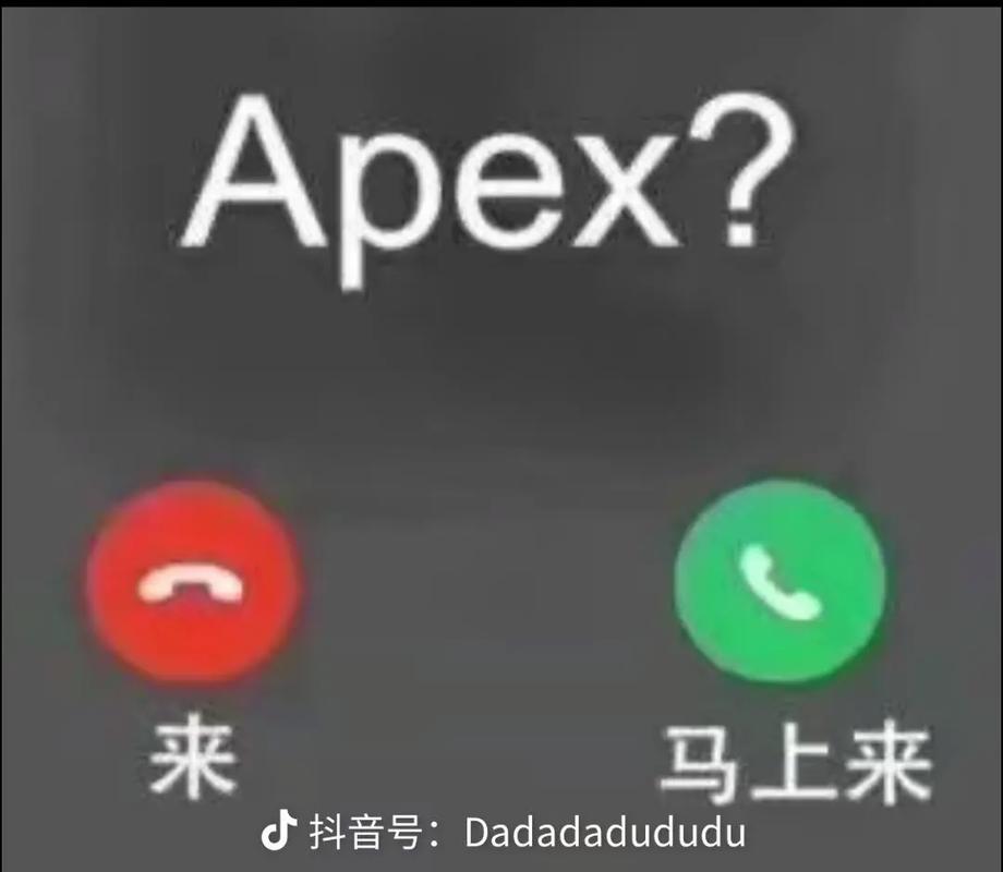 老婆不在家快来玩Apex：在虚拟战场中找到快乐和友谊