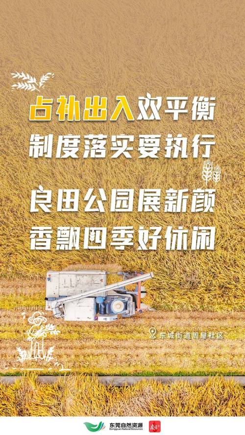 探索无限可能的“大地资源免费第二页”