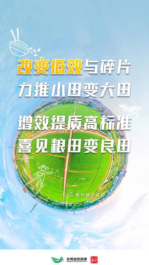 全新视角探索“大地资源在线官网第二页”的丰富内容