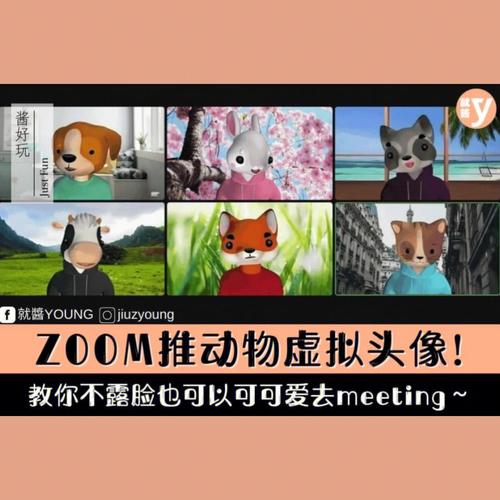 Zoom动物高清啦啦啦啦啦