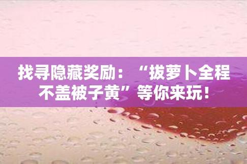  拨萝卜不盖被子软件：重新定义生活的工具