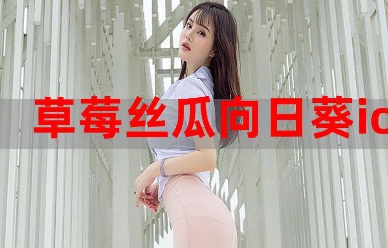 向日葵草莓丝瓜鸭脖：四种美味的奇妙组合