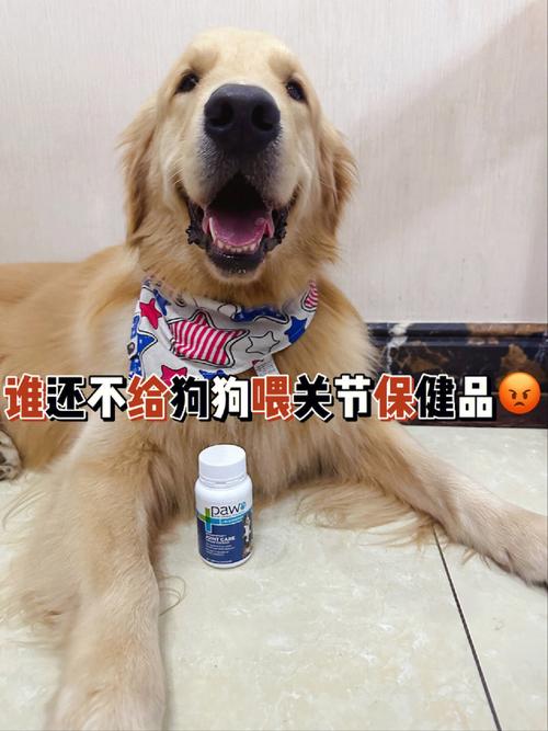 人狗胶配方大全：犬只健康与幸福的秘密武器