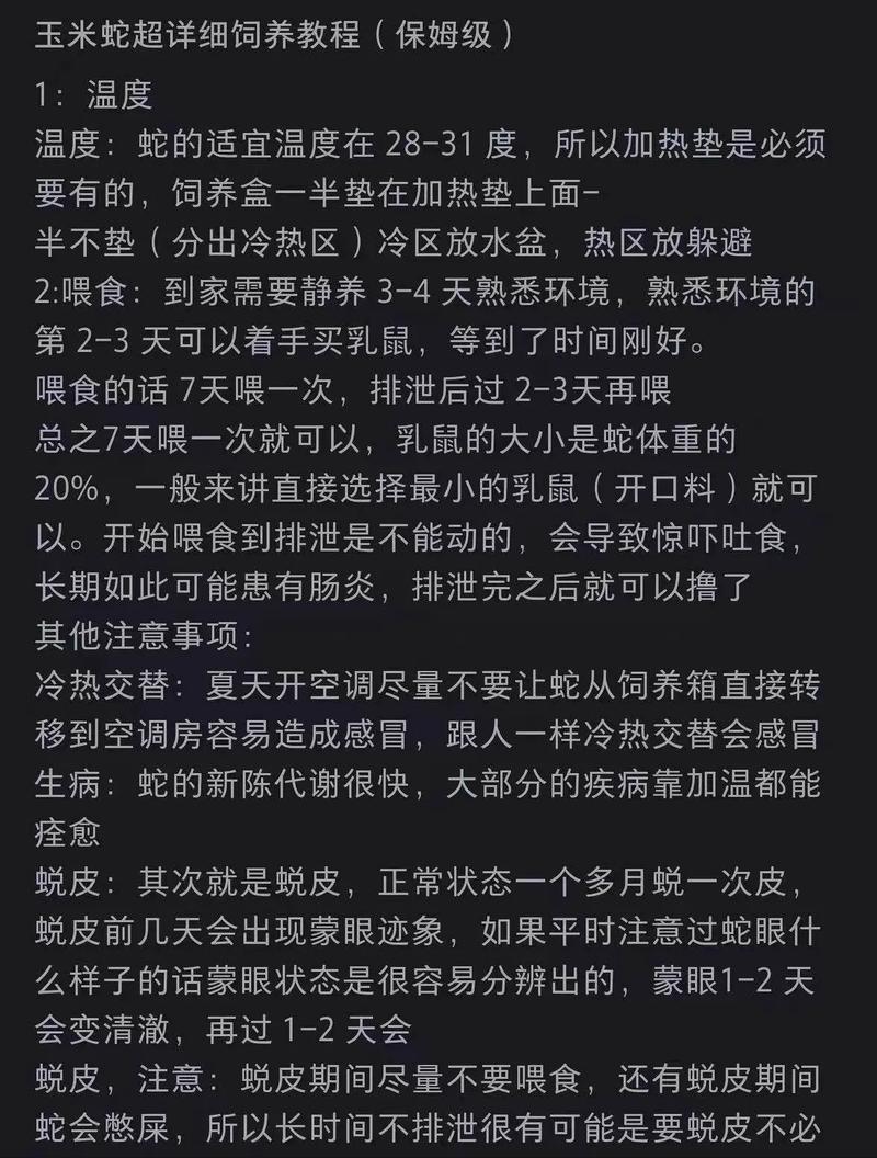 双黑蛇的温度1v2：探索黑暗中的温暖与对抗