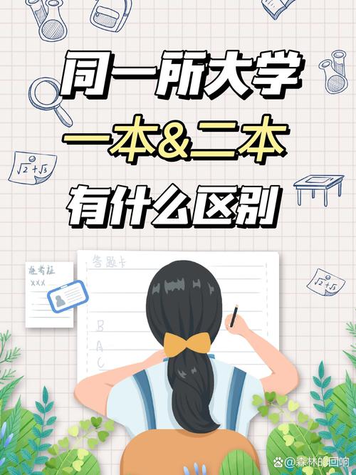 深入分析一本大道与二本大道的区别