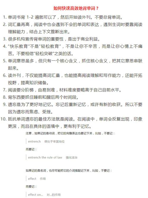 坐在老师的大紫根上背单词怎么读：探索学习与自然的奇妙结合