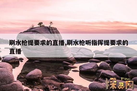 享受水枪娱乐的乐趣——探索“刷水枪提要求直播app大全”