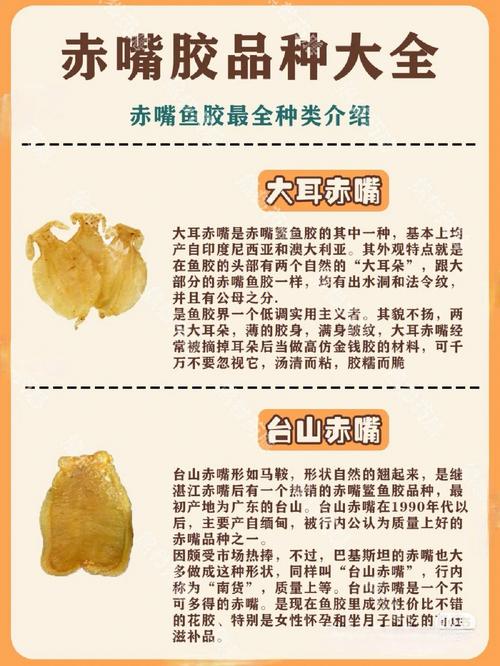 欧美人和禽类胶配方大全：探秘健康美味的胶原蛋白应用