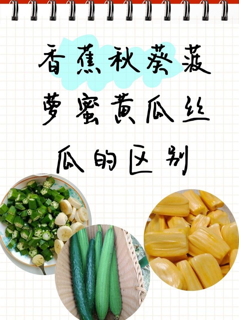  秋葵茄子丝瓜香瓜榴莲大全：探索秋季美食的丰盛盛宴