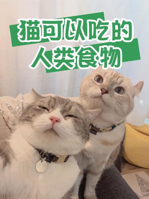 丝瓜芭乐猫咪草莓小猪