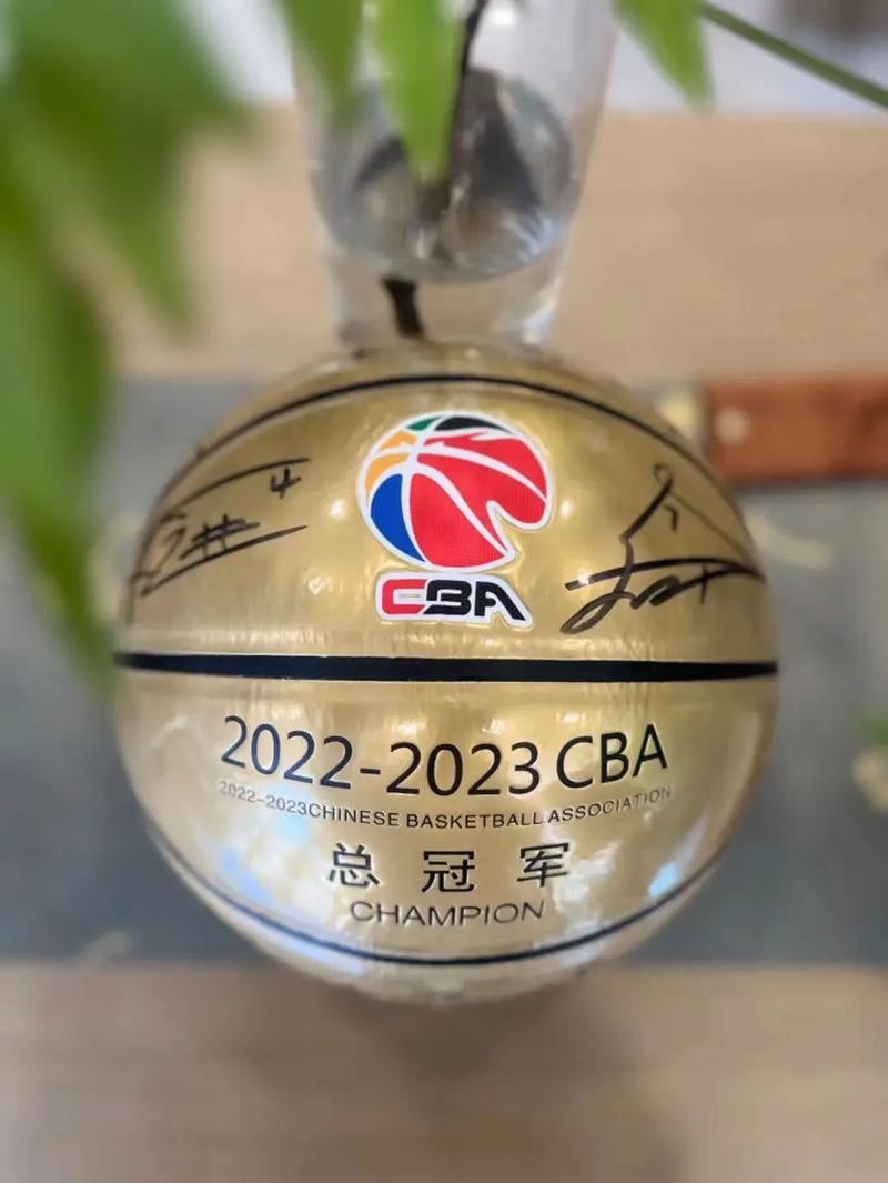 CHINA篮球体育飞机2022站