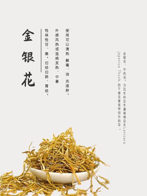 父爱难消金银花