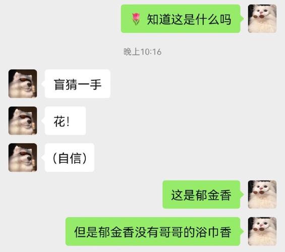 老公的朋友跟我做完就不理我了：背后的无奈与思考