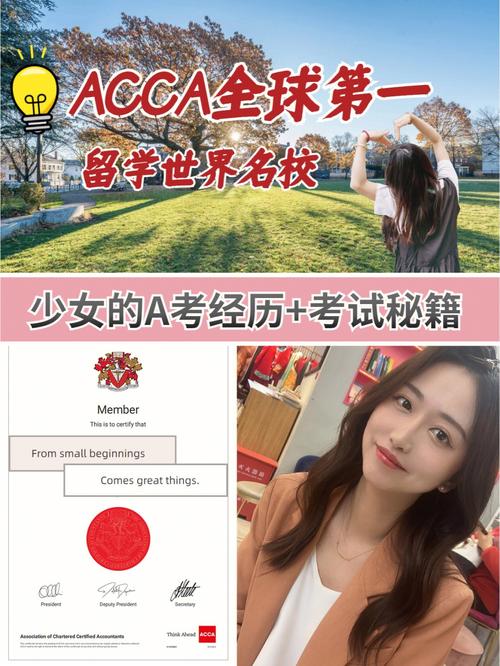 acca少女课视频