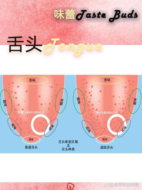 舌头进入小豆豆世界的味觉体验