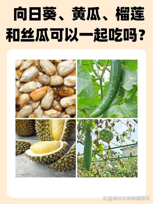  爆款水果与蔬菜的神秘面纱——草莓樱桃丝瓜秋葵榴莲黄瓜大百科