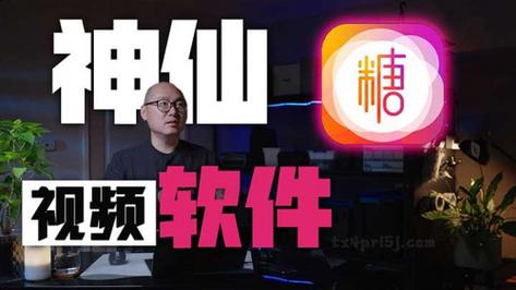 糖心vlog免费网页版：为你打开生活的新视角