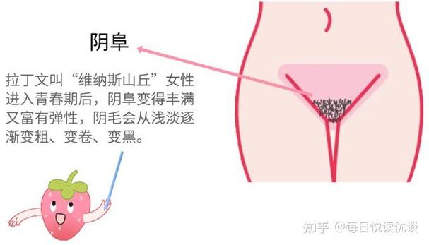  探索“大荫蒂BBBBBB大荫蒂”的神秘世界