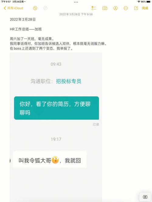 瞒着老公加班的HR中字：夜幕下的秘密