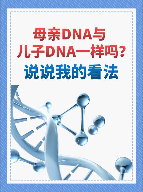 母亲的DNA与儿子的DNA