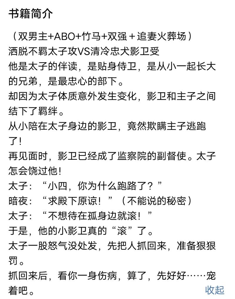  王爷在花轿里就开始圆房的小说：一场意外的邂逅