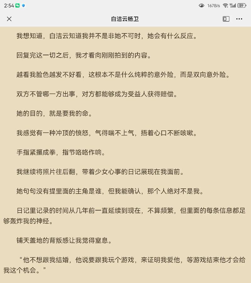 白洁高义篇：义无反顾的选择