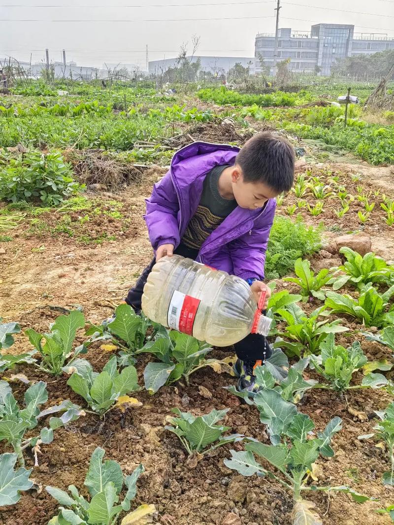 女孩子怎么体验拔萝卜的感觉：探索自然与内心的对话