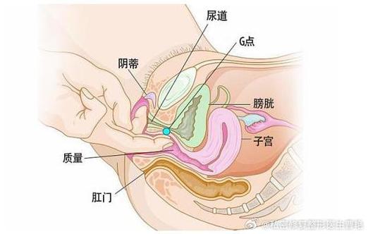 大荫蒂bbbbbb大荫蒂：探索生活中的幽默与哲思