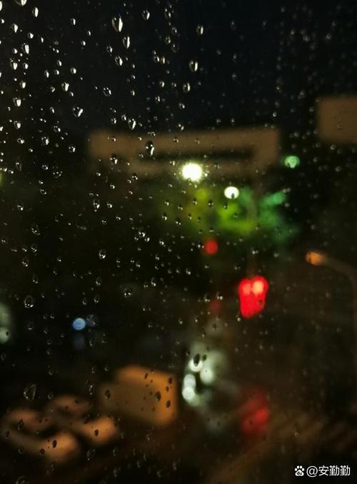 陪读晚上翻雨覆雨的背景故事：迷失与寻找的旅程