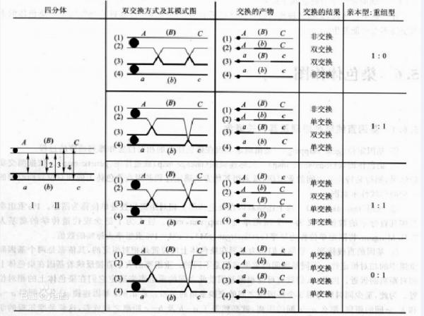  交换する和取り替える的区别：深入分析日语中的精细用法