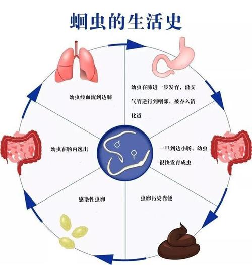 没带罩子让他吃了一天的药怎么办