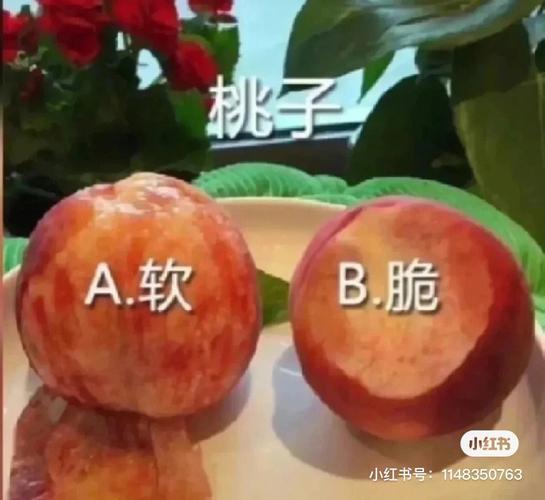  BBB槡BBBB槡BBBB是什么：