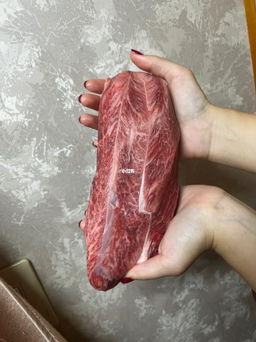 大肉大捧一进一出视频