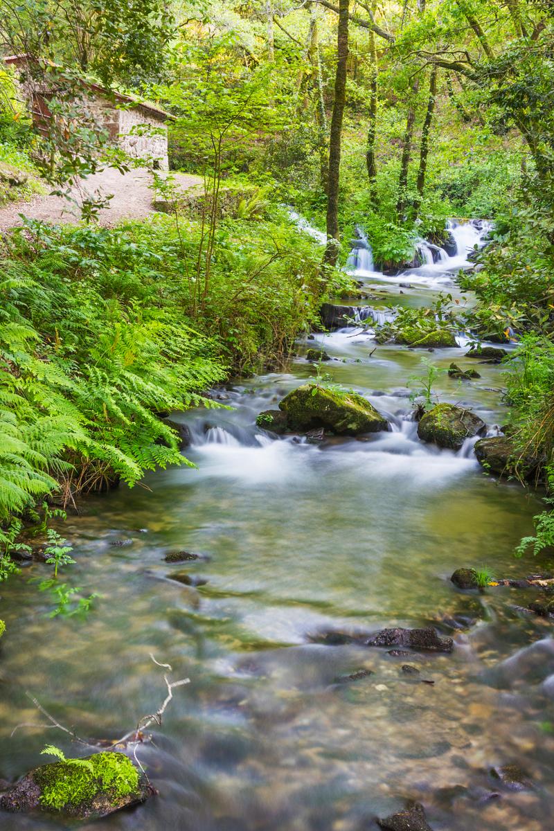 两峰夹小溪地湿又无泥