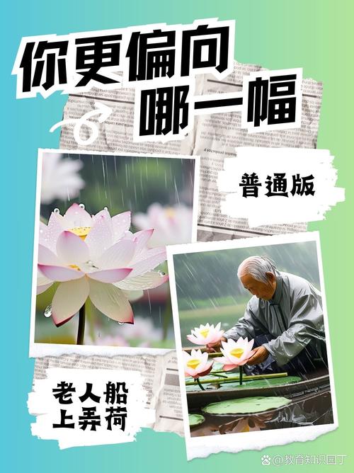 探寻《老人船上弄雨荷第十二集原文》的深层意蕴