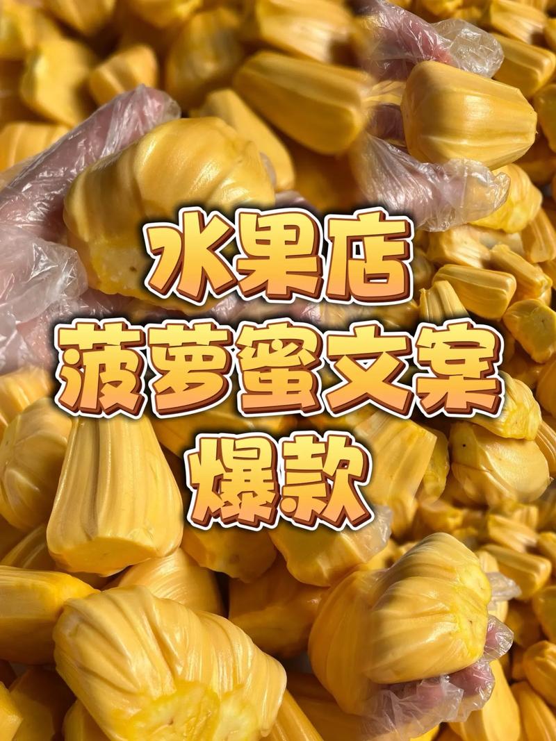 菠萝蜜在线观看真的能免费看电视吗？探究背后的真相与体验