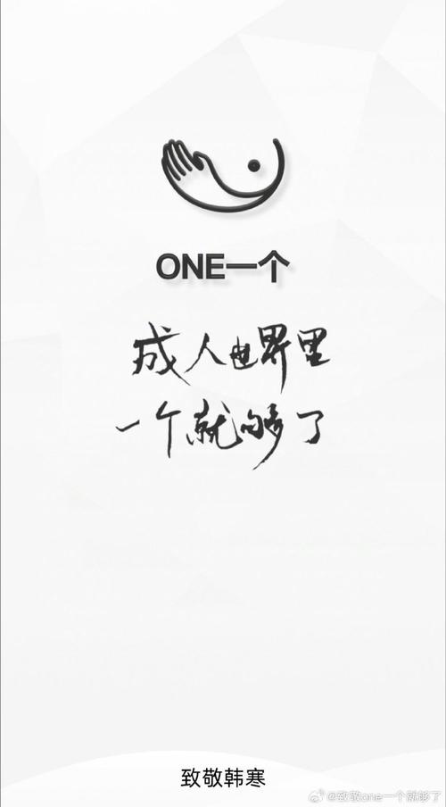 one一个成年版致敬韩寒