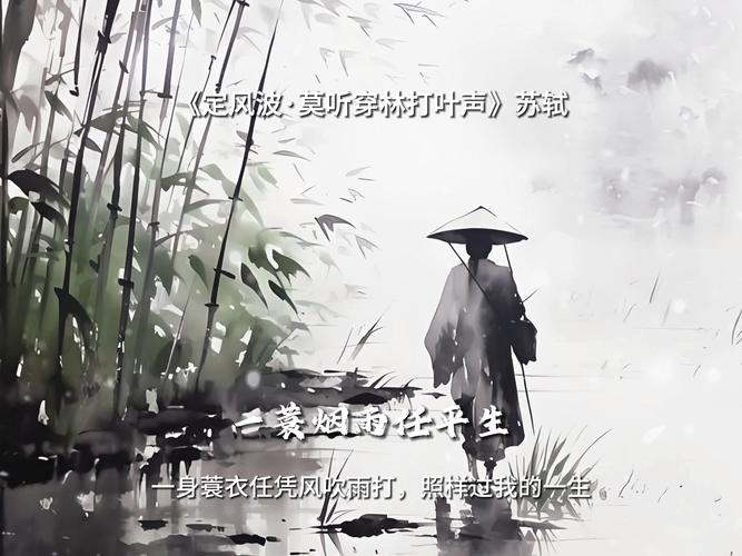  苏家有女1v5一蓑烟雨：剑舞江湖的她