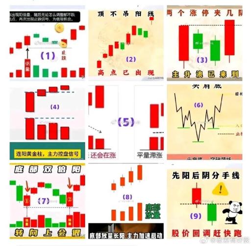 华区二区区别88888金三角：探索区域发展与经济繁荣的关键